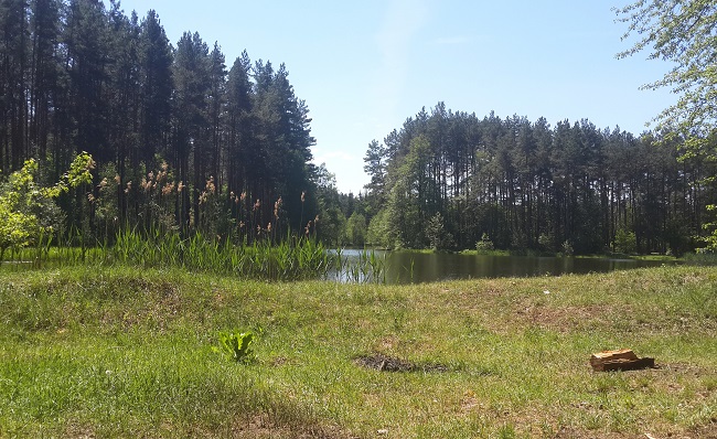 Озера возле Коростышева